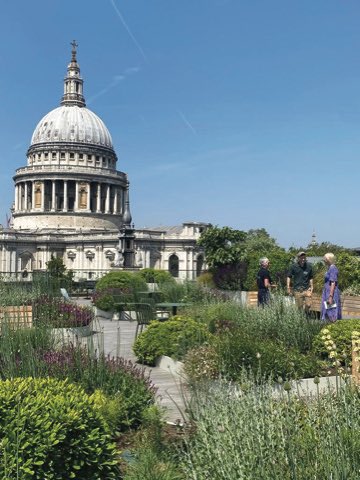 The London Parks and Gardens charity, LPG, has announced the 117 ‘secret’ or usually-closed gardens which will open their gates to ticketholders for one fundraising weekend on 8-9 June. 📸 25 Cannon Street. Photo: Nathan Oley.