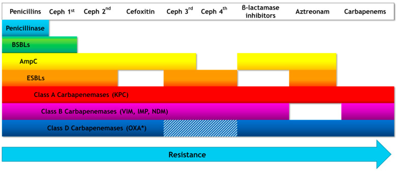 Degradation pattern for each type of β-lactamase doi.org/10.3390%2Fanti…