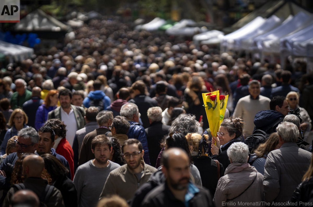 A woman holding roses walks in a crowd along La Rambla promenade of Barcelona as Catalans celebrate the day of their patron Saint Jordi, April 23, 2024. Lovers, close friends and family traditionally gift each other with a red rose and a book to celebrate St. George's Day.