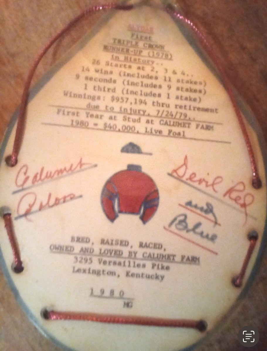 Margaret Glass made this horseshoe with glass for Alydar’s win in the Blue Grass Stakes. One of a kind. 💙