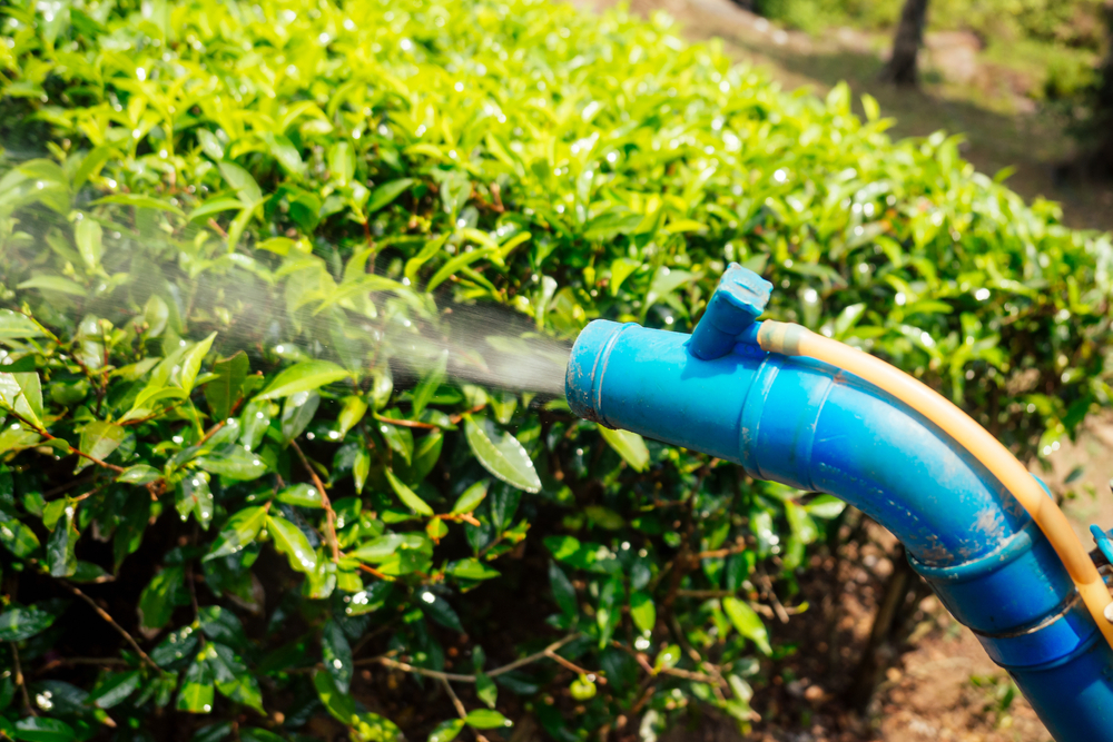 Rapid, on-site, and easy-to-use lateral #immunoassay can #detect nine #pesticide residues from #tea #leaves. 

Find out more in this #JournalofPharmaceuticalAnalysis study: ow.ly/gvzr50RiIr8