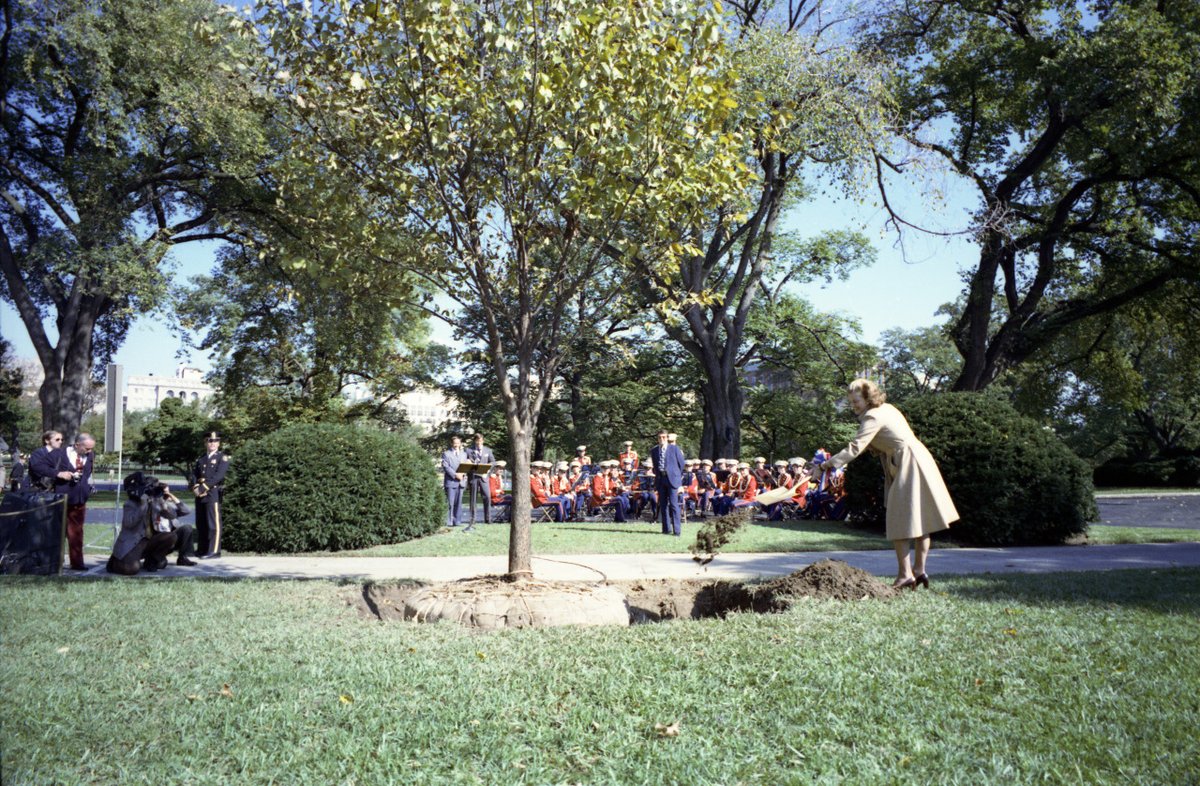 Happy #ArborDay! Mrs. Ford planted a tree on the North Lawn of the White House to honor the American Bicentennial on Oct. 20, 1975. The seedling was specially cultivated from an American Elm planted by Pres. Adams, which was the oldest and tallest tree on the White House grounds.