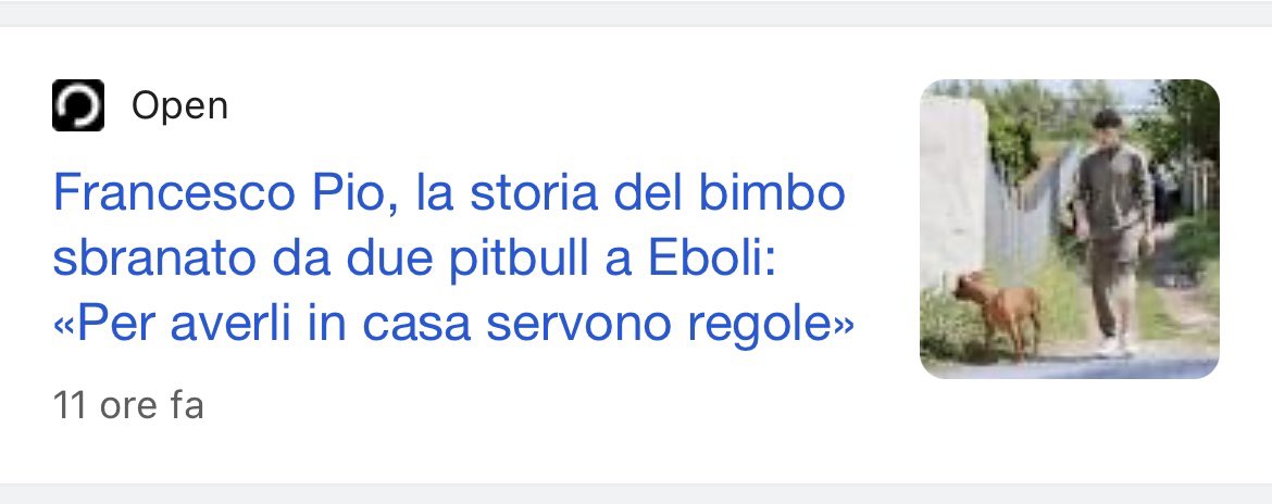 danielegabrieli's tweet image. Nessuno ha problemi ad ammettere che una tigre è più pericolosa di un gatto. Non capisco perché è tabù riconoscere che certe razze di cani sono strutturalmente più pericolose di altre.

#pitbull #francescopio #eboli