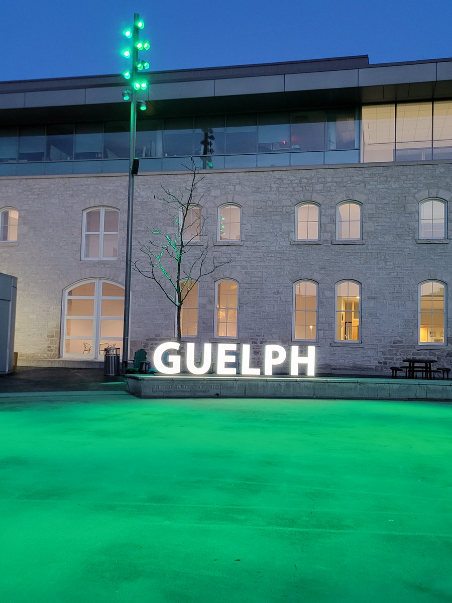 Today is the start of National Organ and Tissue Donation Awareness Week (NOTDAW)  Linda and I arranged to have the Beadonor.ca flag raised at City Hall this week as well as having Market Square lit up in green #beadonor <a href="/TrilliumGift/">Trillium Gift of Life Network (Ontario Health)</a>