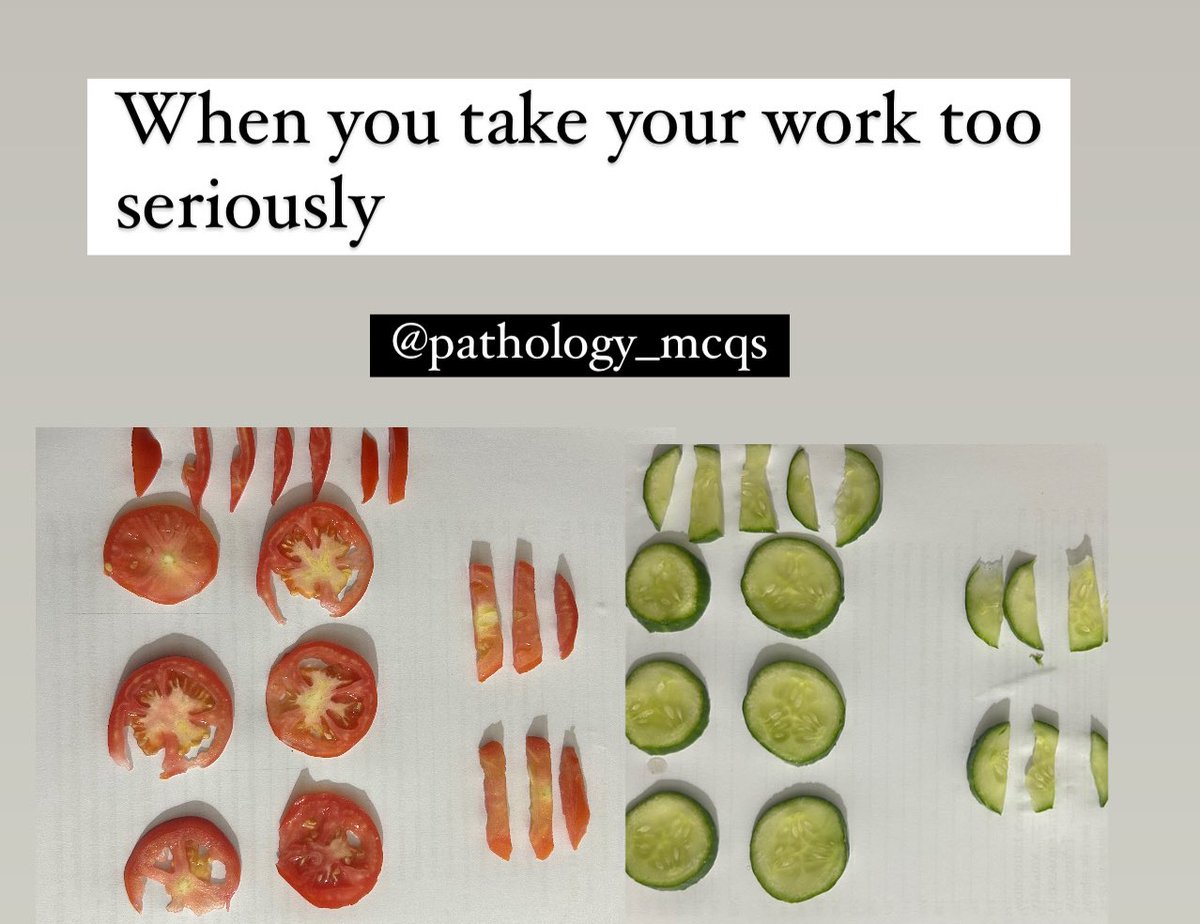 Pathology_mcqs's tweet photo. “When you’re so immersed in pathology that even your lunch starts to look like a gross specimen.”

#pathologists #pathologyresident #pathboards #pathologymcq #pathmemes #pathologypictures #pathologylife #pathtwitter #pathologyfun #pathologyaddict #pathology #pathologygross https://t.co/NisfVXGqvO