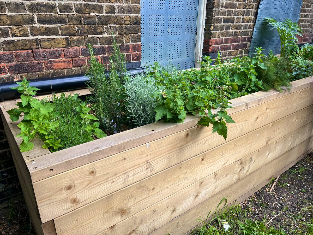 Jenny Martin tweet media