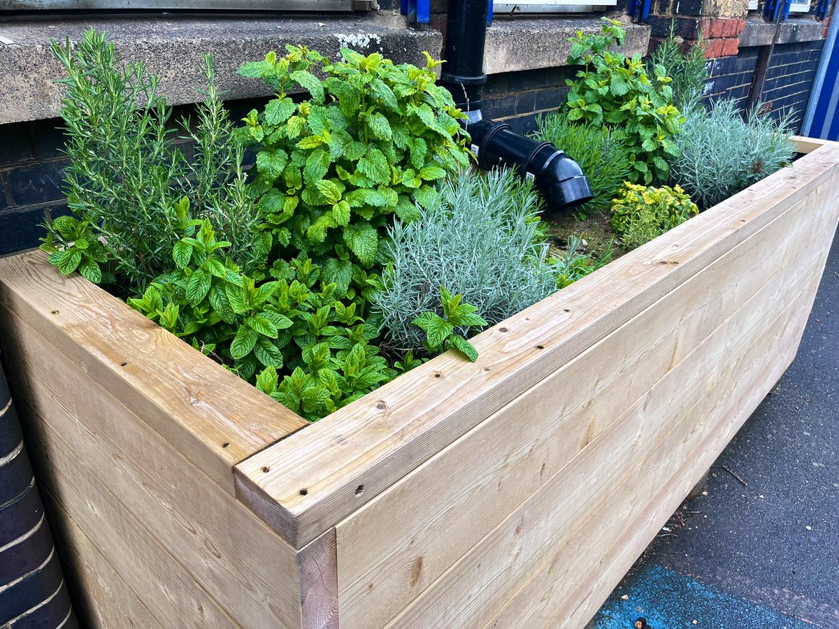 Jenny Martin tweet media