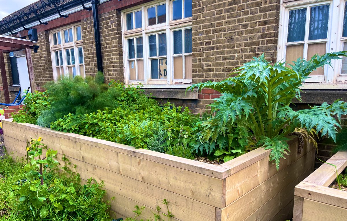 Jenny Martin tweet media