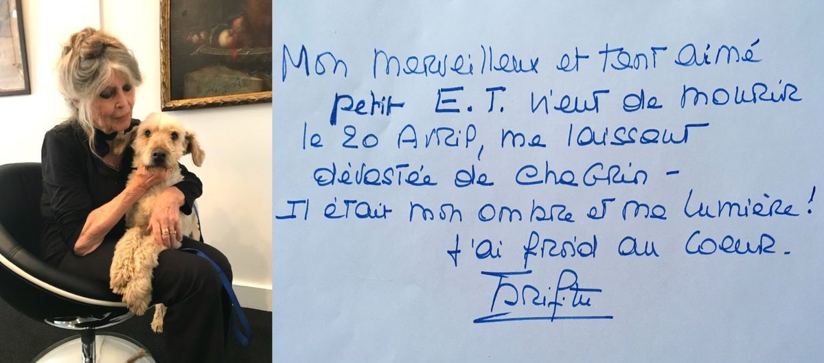 Brigitte Bardot tweet media