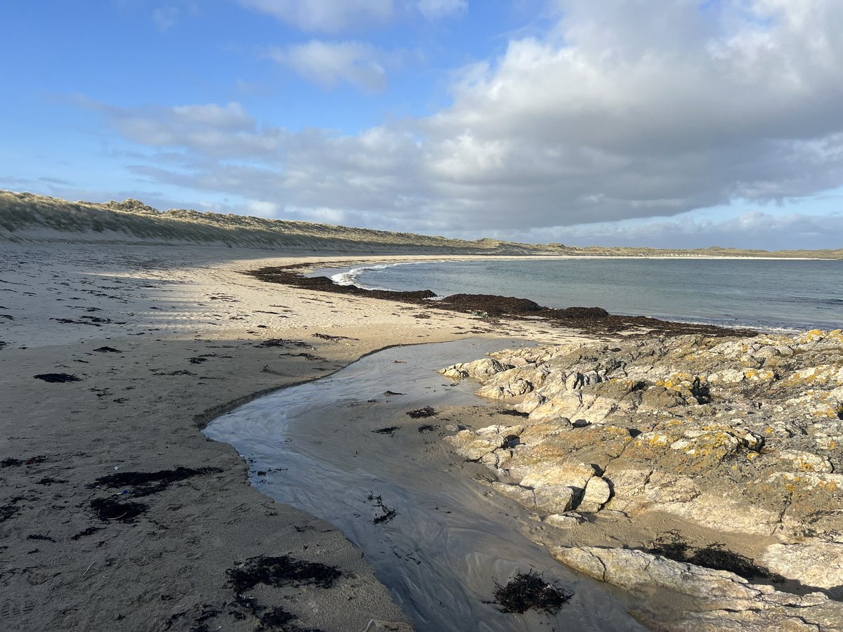 walkhighlands's tweet photo. Just finished checking all our Coll walk routes⦠and lucky to have a really close encounter with a male hen harrier!
Updates for every route on both Coll and Tiree (and a sneaky short new one!) will be live by the end of this weekend.
#walkhighlands https://t.co/TEW6xVRmkp