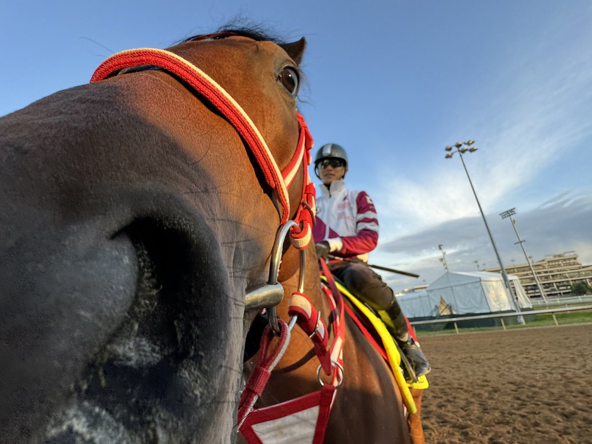 チャーチルダウンズから今朝のフォーエバーヤングをお届けします🇺🇸🏇