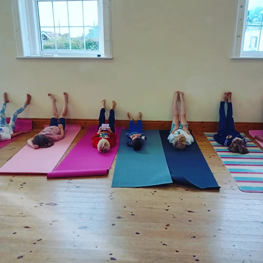 Join The Kids Yoga Classroom for a Yoga, nature & creativity camp in Johnstown on 6th and 13th July 11am – 1.30pm. Includes outside nature walks & creative arts /crafts. Age 6 – 10 yrs. Tickets €30.
Bookings: thekidsyogaclassroom@gmail.com
 #irishheritagetrust @visitwexford