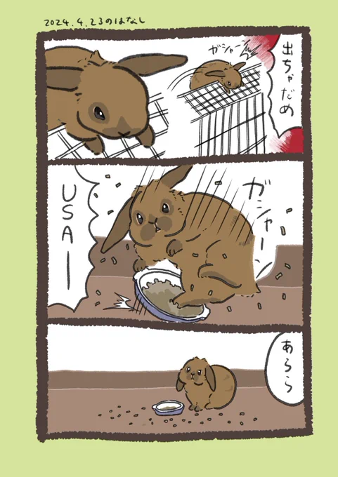 USA徒然

#うさぎのいる生活 