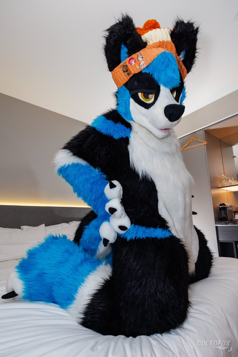 Want some squish? #TummyTuesday 

📸 - @ColtoFox 

#fursuit #furry