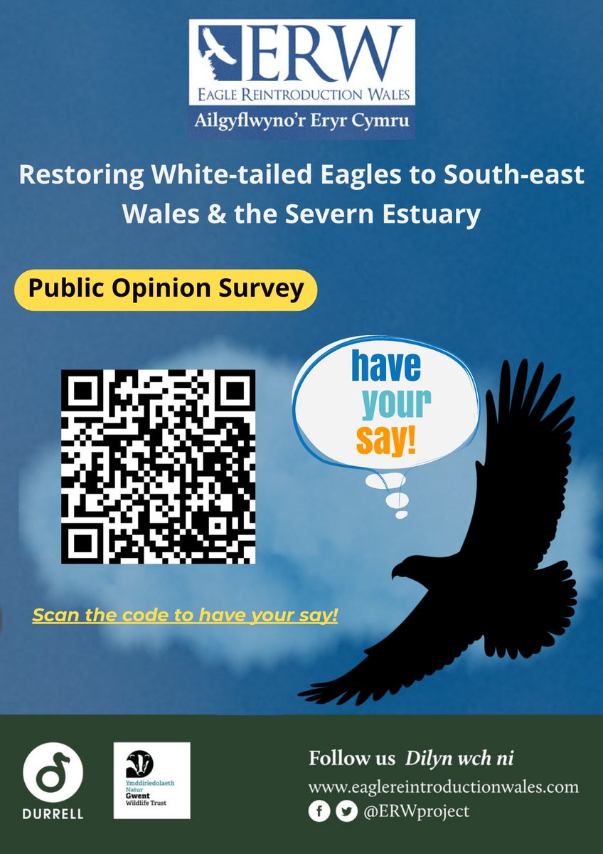 What are your thoughts on White-tailed Eagles? Take part in this online survey exploring the awareness, knowledge and attitudes of White-tailed Eagle reintroduction to the Severn Estuary in Wales. 🏴󠁧󠁢󠁷󠁬󠁳󠁿🦅 📝 Please RT/: smartsurvey.co.uk/s/WTEPublicOpi…