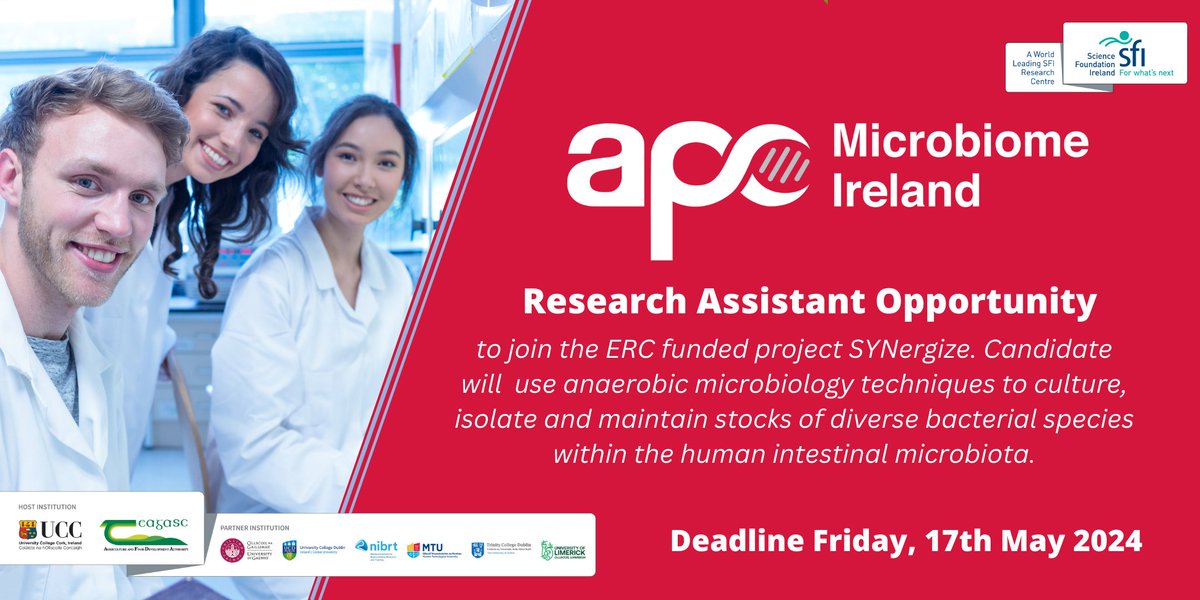 APC is seeking a Research Assistant to join <a href="/hilary_browne/">Hilary Browne</a>'s <a href="/ERC_Research/">European Research Council (ERC)</a> project SYNergize at the <a href="/UccMicrobiology/">Microbiology UCC</a>, <a href="/UCC/">UCC Ireland</a>. 

Come and work with some of the world's leading #microbiome researchers in a great Irish city.
Deadline May 17th
Details &gt;&gt; bit.ly/3Q0TnNX