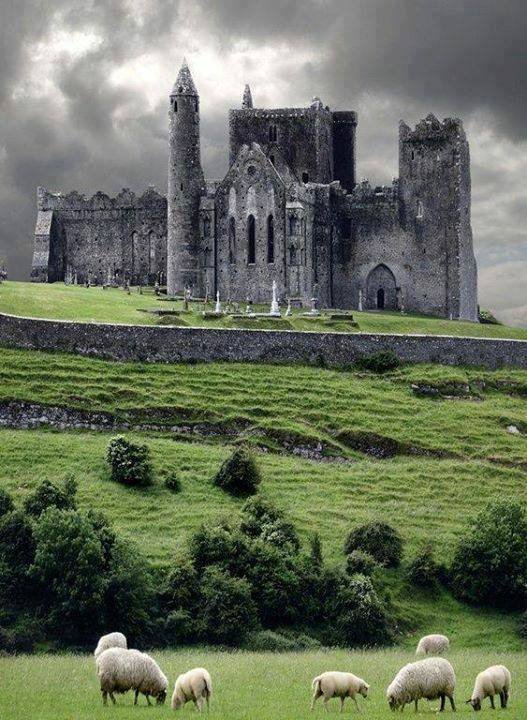 Castillo medieval Cashel, ubicado en Irlanda 🤯🌈