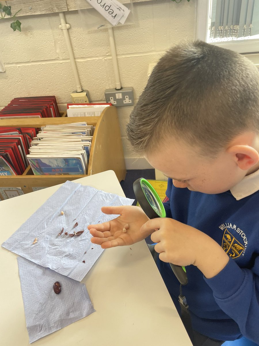 Class 2B tweet media