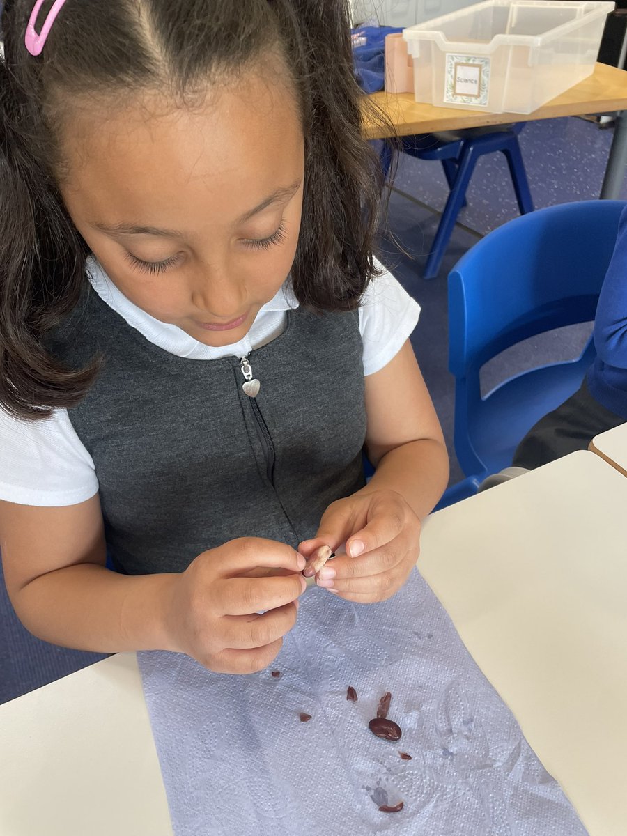 Class 2B tweet media