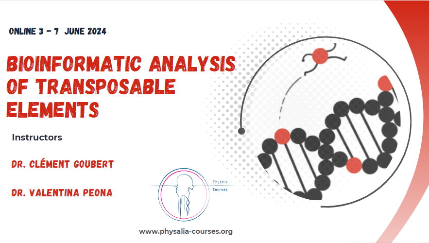 ⁉️Interested in transposable elements⁉️ ⁉️Do you want to learn how to analyse them⁉️ Join us in June for this great online course with @valentina_peona & @clementgoubert physalia-courses.org/courses-worksh… Please RT