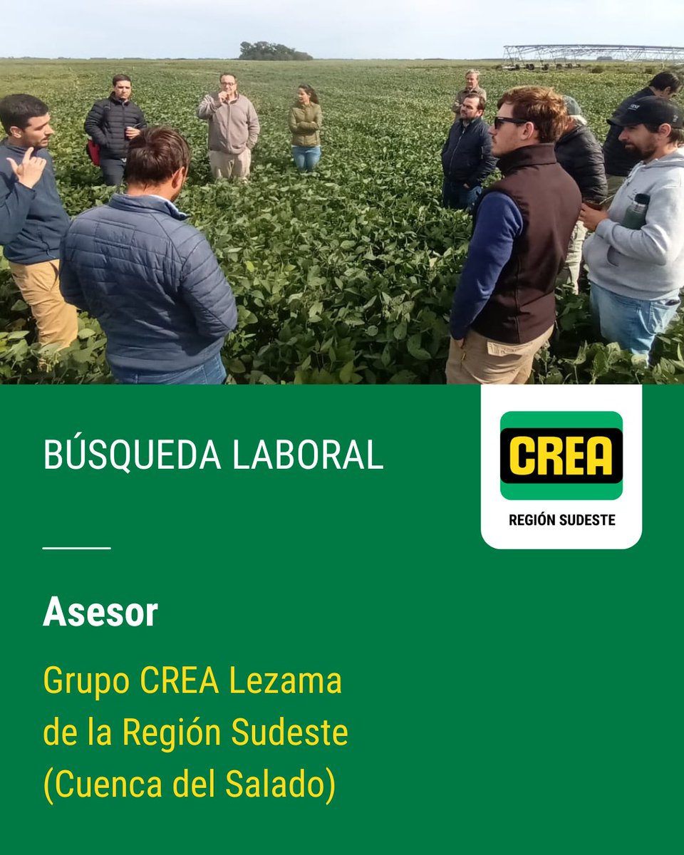 crea_arg's tweet photo. Un Grupo CREA bonaerense está buscando Asesor/a 🔍 
Acompañá a 9 empresas diversas y motivadas a compartir experiencias y evolucionar ⏩ 

📍 Chascomús y Belgrano, Buenos Aires
 
Postulate aquí 👉🏻 https://t.co/55xP8ktHOu https://t.co/mzilMPbcrL