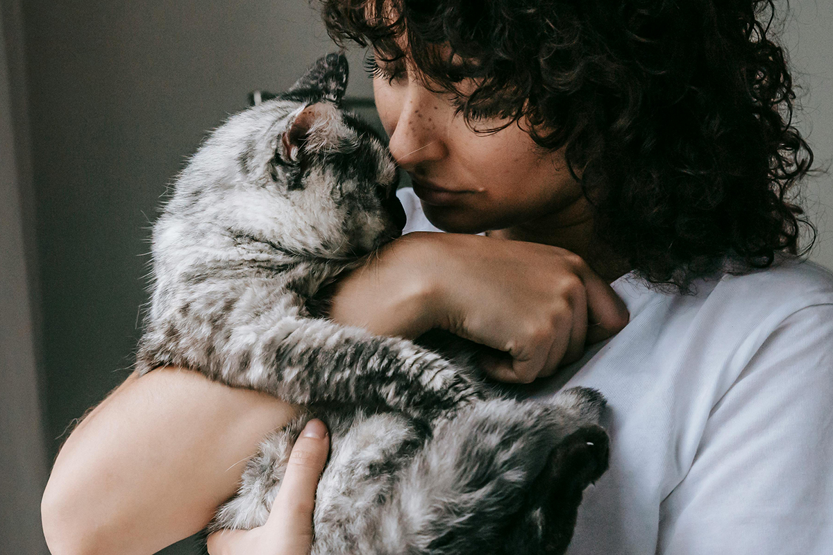 This #NationalCrimeVictimsRightsWeek, AWI is raising awareness of the link between interpersonal violence and animal abuse—and sharing resources to help empower individuals to support survivors. #NCVRW

📷: Sam Lion