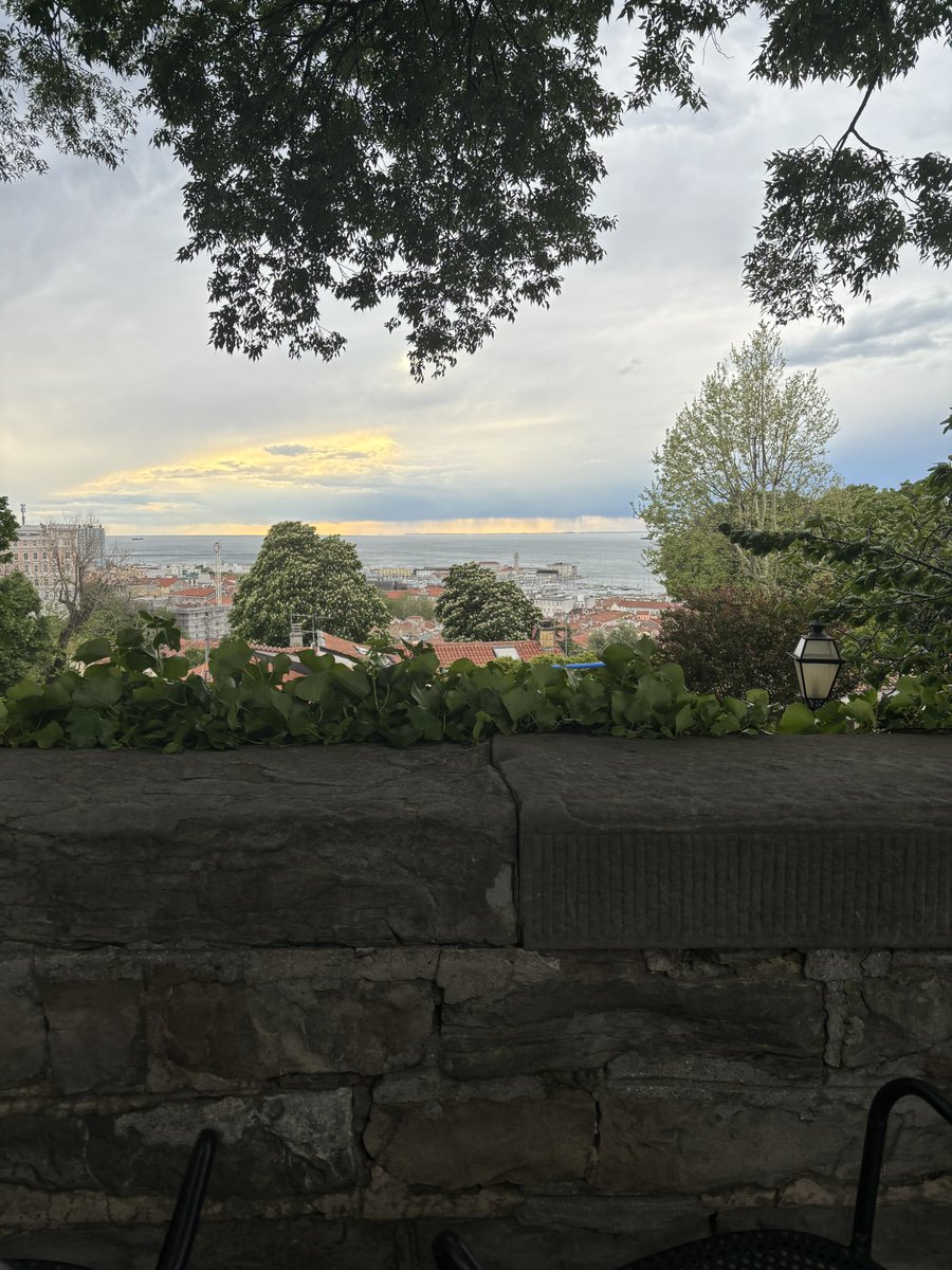 vfhernandes's tweet photo. Always nice to spend some time at ICTP in Trieste during the spring. I learned a lot about neural quantum states and other topics at the intersection of quantum simulation and machine learning. Thanks to all the organizers and speakers! https://t.co/L6UmAcvk6X