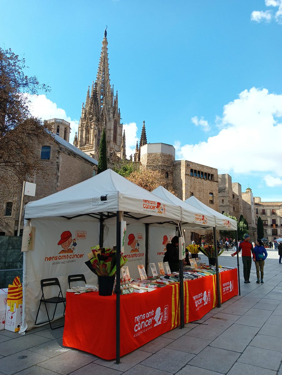 Vine a veure'ns a🥰👇🏻
📍L'avinguda de la Catedral de Barcelona 📘📗📕

✨Us esperem amb molta solidaritat pels infants i adolescents amb càncer!!!🥰🥰Feliç diada de Sant Jordi!🌹

#santjordi #santjordi2024 #AFANOC #rosa #llibre #càncerinfantil #infantsambcàncer