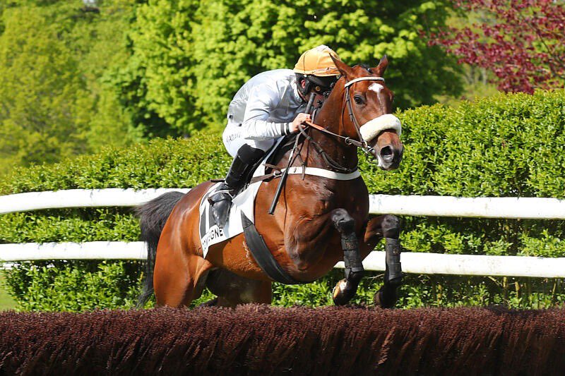 Merci mon GOLDTWEET 😍 on l’aime celui la