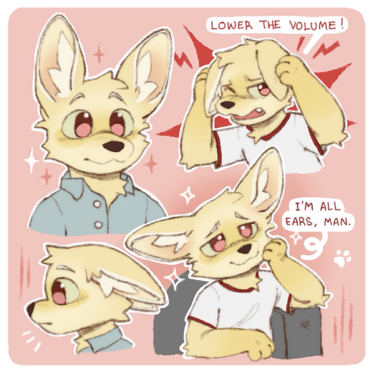 MeteorMutt's tweet image. Fennec