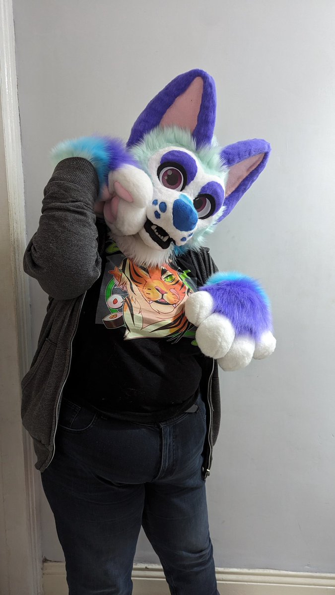 GalaxyCreateUK's tweet photo. Sherbet is ready to adopt! Built on a @AW_Runaway foam base to fit a 23" head, paws built on @YBLSuits pattern with mochi pads. £2,000, able to ship or collect from CFz! If not sold before the con he'll be available at my @CFzDealers table on Sunday, C-11! Ref by @StarShepDesigns https://t.co/UvagC2LwYX