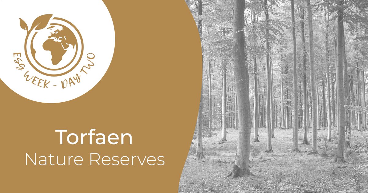 🌍 ESG Week (Day 2) – Torfaen Nature Reserves

This afternoon, David talked to the team about Torfaen’s six local nature reserves, which provide important natural green space for local communities and wildlife.

#Asset #AIS #ESG #ESGWeek #NatureReserves #Torfaen #TorfaenNature