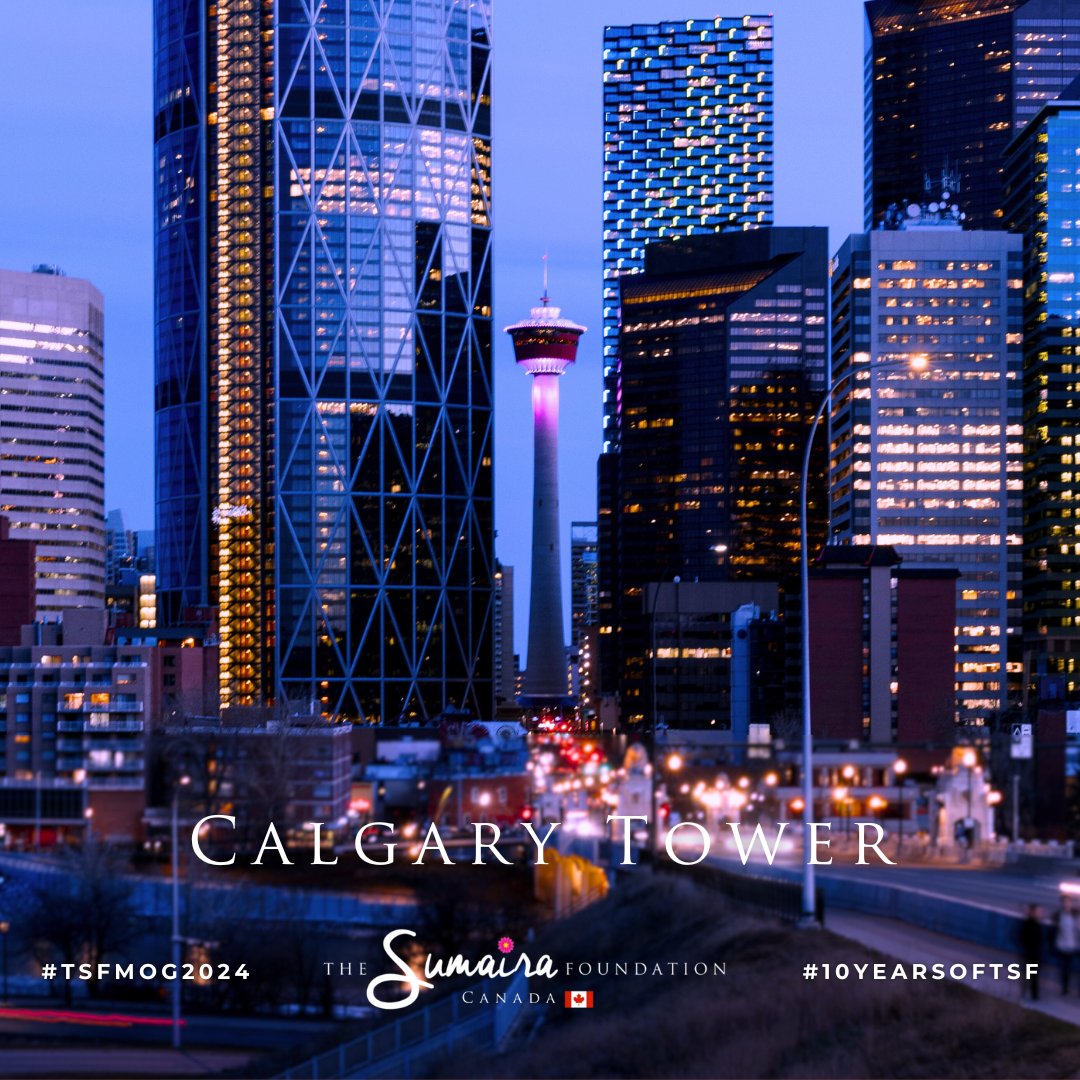TheSumairaFDN's tweet photo. 🇨🇦 On April 12th, @TheCalgaryTower was illuminated pink to commemorate TSF's #MOGAD Awareness Month 2024 🌺🦄🩷

Special thanks to Marc, TSF Ambassador of Alberta &amp; #NMOSD patient for making this happen! https://t.co/88qoyhC3CK