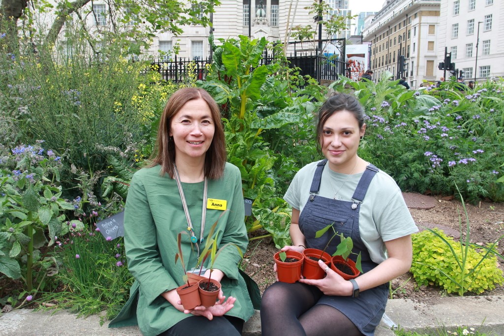 Our fantastic Allied Health Professionals are finding great ways to reduce our carbon footprint. We recycle equipment like walking aids, use bikes to get to patients, and our dietitians run an edible garden at St Thomas’ where they grow rhubarb and garlic! #GreenerAHPWeek