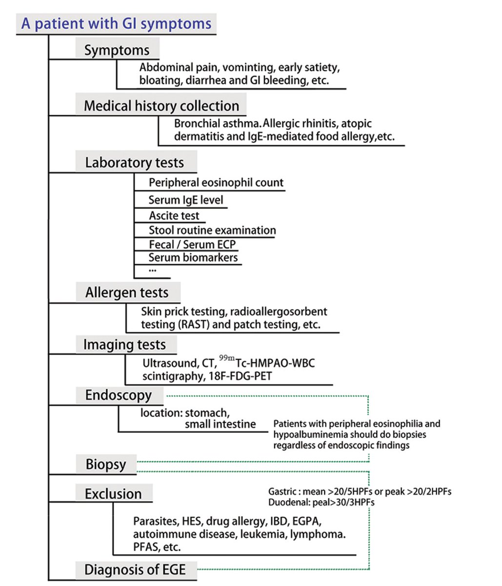 Yiyuan_Tan's tweet photo. Eosinophilia beyond the esophagus is less clearly defined, and each patient can take a varied disease course. 

A quick rundown on clinical approach, manifestations, histology and treatment options 👇

#GITwitter #MedTwitter https://t.co/hhlOyx2fT4