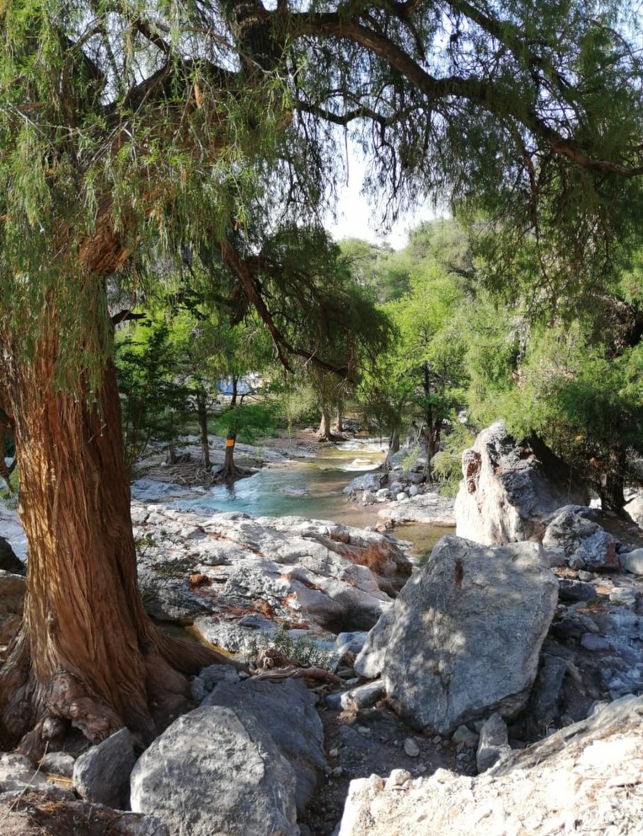 CarlosEn917Mix's tweet photo. Ayer fue el #DiadelaMadreTierra y los #chavoRocks sabemos apreciar paisajes naturales. Usando #EsDeChavoRock compartiendo las fotos de algun lugar que les asombro por su belleza natural como #SandyMora #BetyGonzalez #LetyGomez #BetyIslas https://t.co/KuxPi5nIIU