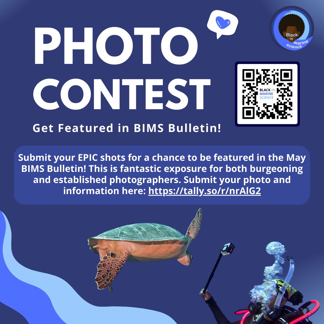 Do you have breathtaking underwater photography? 📸 🌊 Submit your EPIC shots for a chance to be featured in the BIMS Bulletin! ✨ Submit your photo and information here tally.so/r/nrAlG2 📸 🌊 #BlackinMarineScience #MarineScienceisLit #MarineScienceforthastreetz