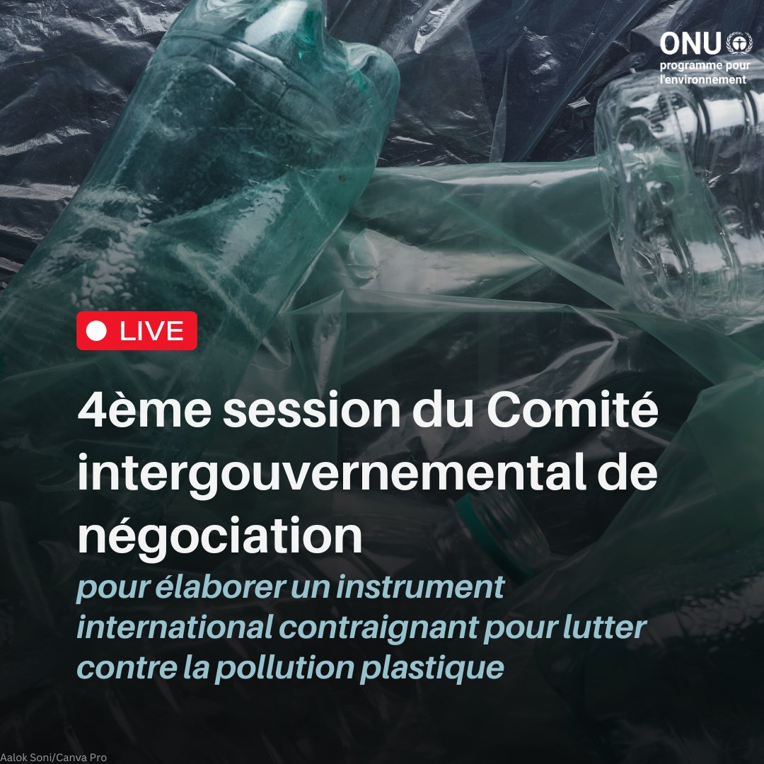 Les discussions du #CIN4 se déroulent en ce moment à Ottawa, Canada ! Connectez-vous sur @UNWebTV pour suivre en direct la couverture dans les 6 langues des Nations Unies. Ne manquez pas ce moment crucial dans la lutte pour #CombattreLaPollutionPlastique : webtv.un.org/en/asset/k1a/k…