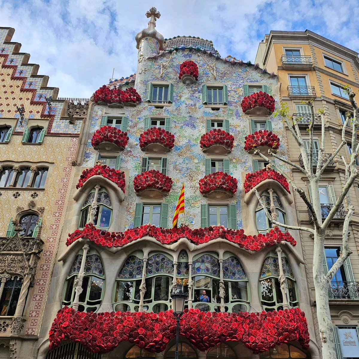 Feliç dia de Sant Jordi! Happy Saint George's day!
The streets of Barcelona are filled with rose sellers & book stalls, and the sweet scent of the flowers fills the air 🌹🌹🌹
#whyvisitbarcelona #visitbarcelona #lovebcn #barcelona #stgeorge #stjordi #diadasantjordi #santjordi