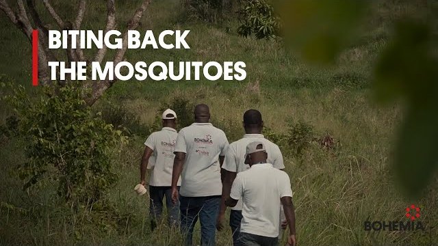 lifesparkke's tweet photo. We are excited to join the fight against #malaria in Africa with our recent collaboration with the #BOHEMIAProject. 

This is a short film from Kwale (Kenya), highlighting the new innovative strategies being applied for malaria eradication. 

Watch &amp; RT:  https://t.co/KdwrXsNY2Y https://t.co/2RW3JwzJem