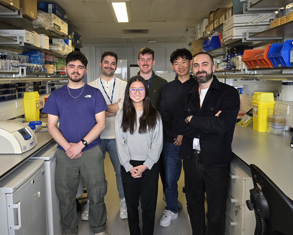 Evangelos Triantafyllou tweet media