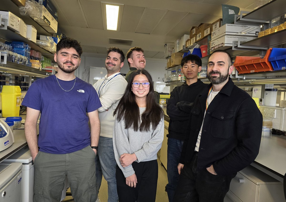 Evangelos Triantafyllou tweet media