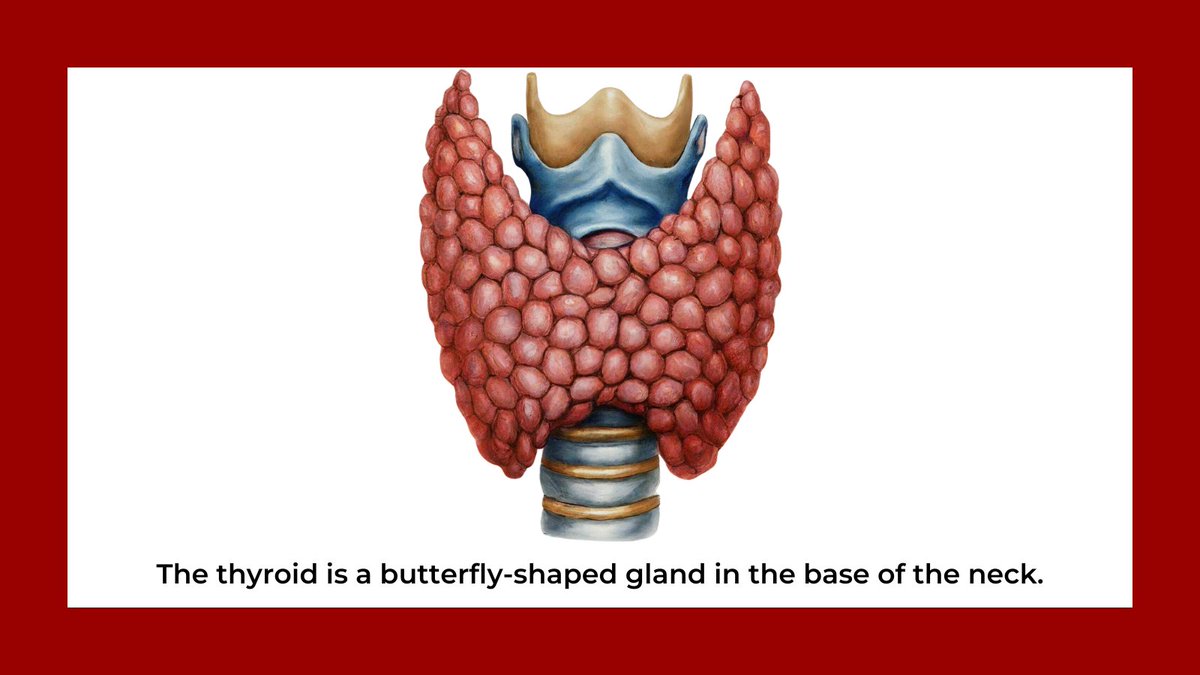 Have you read this informative article about #Thyroid illness/cancer and the available treatment options yet?

tinyurl.com/thyroidENT

#HeadAndNeckCancerAwarenessMonth #ThyroidAwareness
@StonyBrookMed