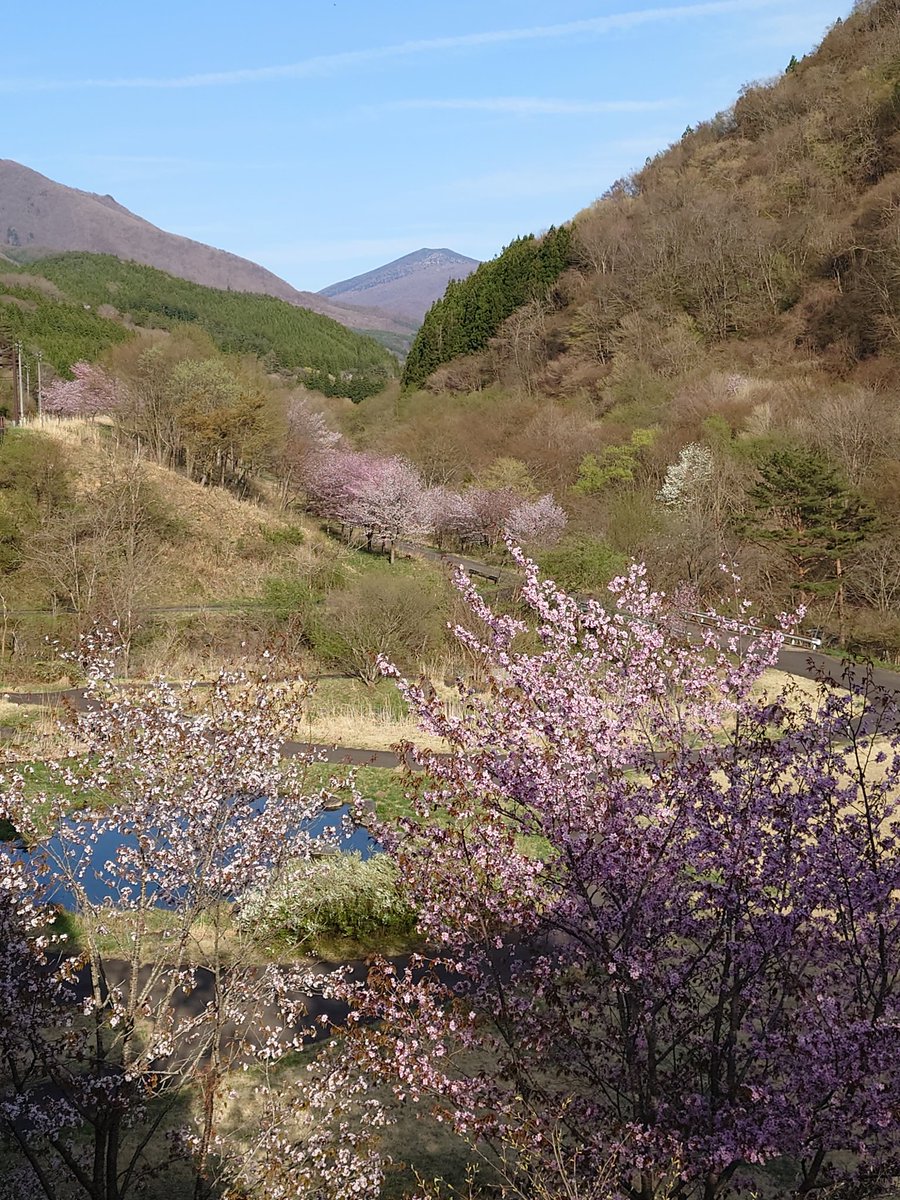 花巻市大迫町

早池峰山が近いこの地域は桜が咲くのも少し遅いので長く楽しめます🌸🌸

山の景色がとても綺麗ですね✨🍀🌳
#大迫町
#早池峰山
#桜