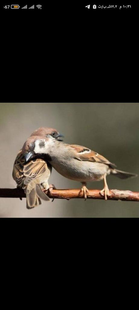 من القلبِ إلى القلب..
 تمسَّكْ باليدِ التي لا تغادركَ ..
وبالروحِ التي لا تفكِّرُ أن تستبدلَك..
عانقِ القلبَ الذي لا يملُّ منكَ ،ويبتلعُ عيوبَك، ويغفرُ زَلّاتِك...
والسّلامُ لقلبِك..❤️
#رساله_لنفسك