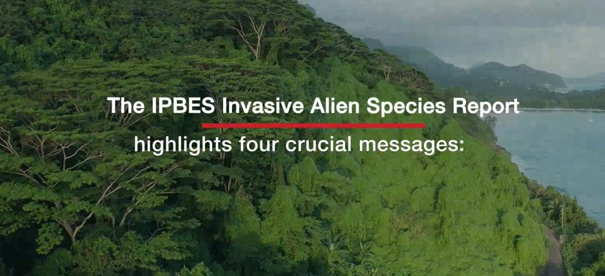 Great and beautiful resource on the IPBES invasive species assessment: ✨The IAS learning tool✨ Take a look! ipbes.net/ias/learning