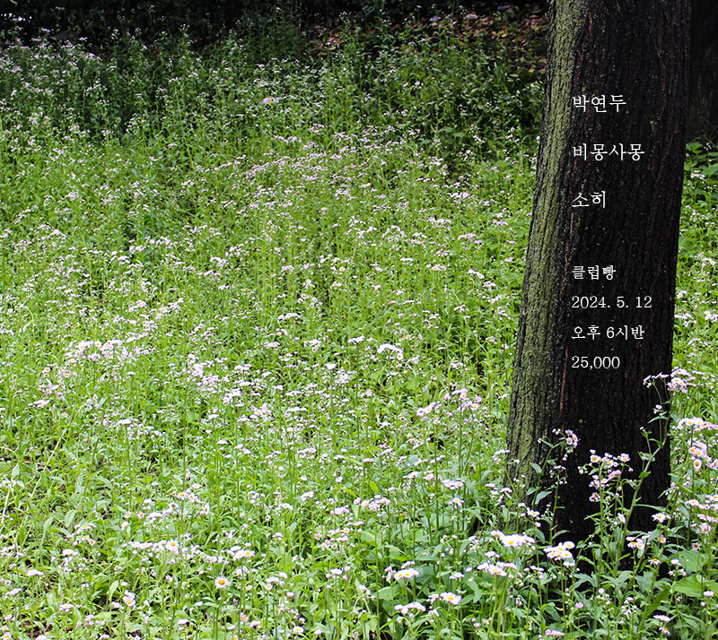 소히sorri (@dolphinsoi) on Twitter photo 