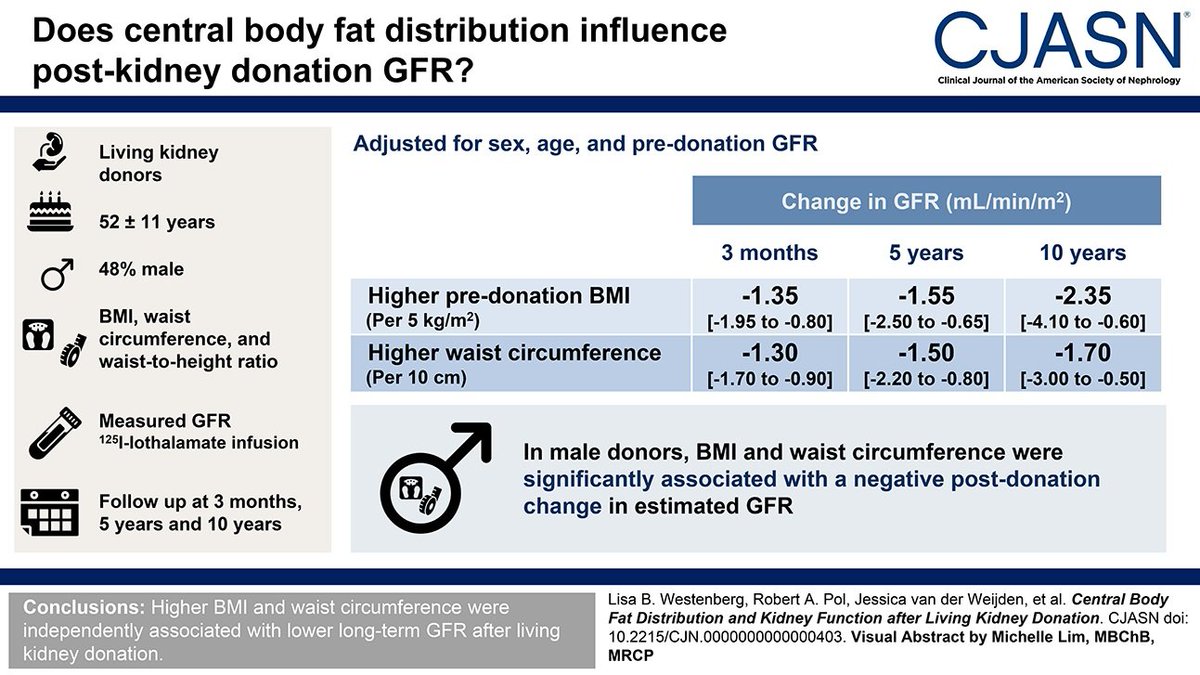 New insights suggest that central body fat distribution might provide power in assessing kidney risk. This study found higher BMI and waist circumference were independently associated with lower GFR (long term) after living kidney donation bit.ly/CJASN0403