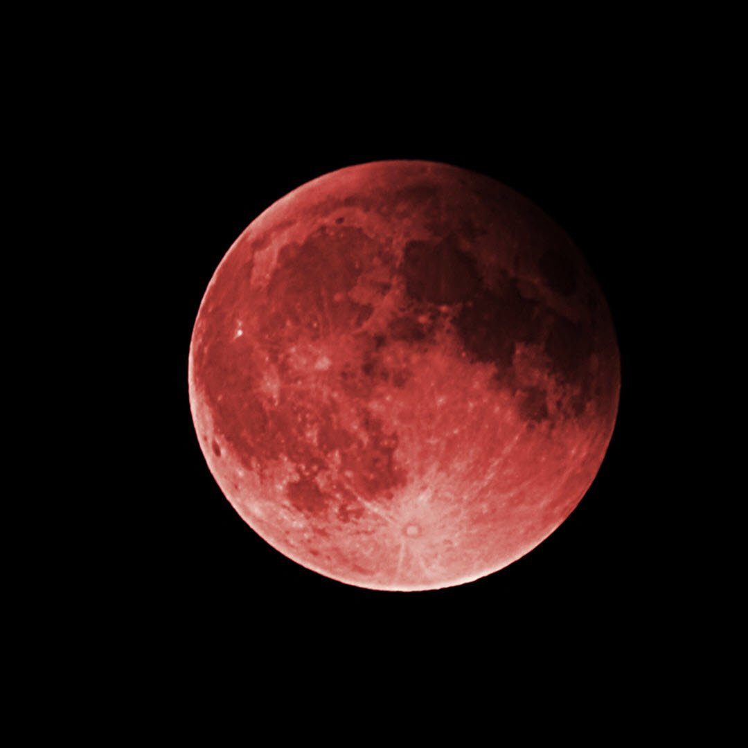 LakeLivingPA's tweet photo. Get ready to bloom and grow because April's full moon is here! 🌕

Known as the Full Pink Moon, this beauty doesn't actually turn pink, but it's named after the cute and common moss phlox that starts spreading those little pink petals all over the ground during spring. https://t.co/BgyPlsMfiE