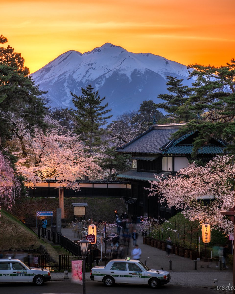 青森県　弘前公園の桜の夕景🌸 岩木山と櫓門と桜を撮影しました📸